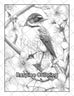 50 Beautiful Birds Adult Coloring Pages Printable PDF Instant Download ...