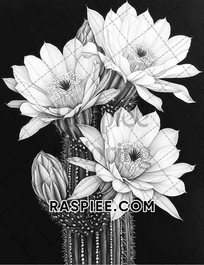 Succulent Blossoms Adult Coloring Pages Printable PDF Instant Download