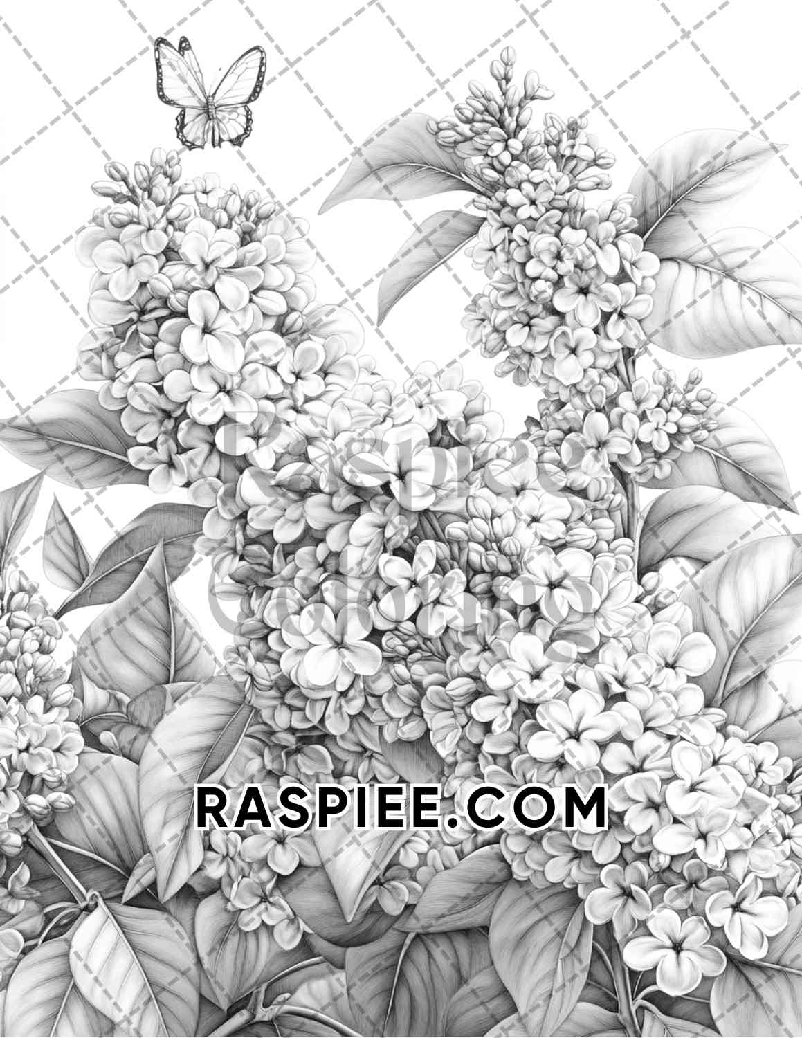 Seasonal Flowers Adult Coloring Pages Printable PDF Instant Download