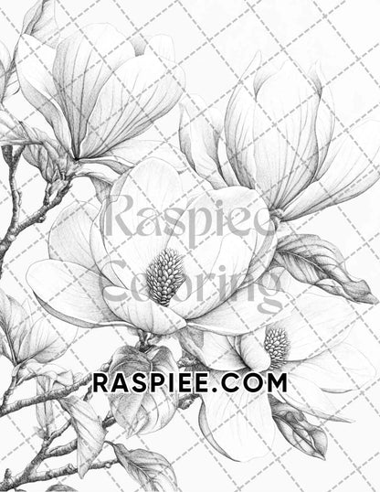 Seasonal Flowers Adult Coloring Pages Printable PDF Instant Download