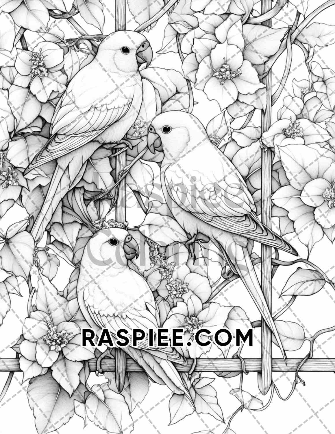 Flowers and Birds Adult Coloring Pages Printable PDF Instant Download - RASPIEE