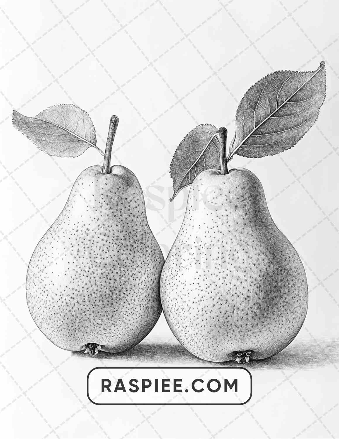 80 Still Life Adult Coloring Pages - RASPIEE