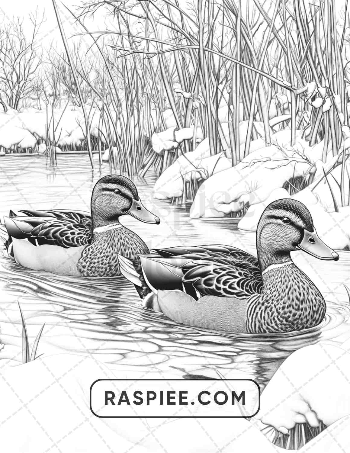 80 Winter Birds Adult Coloring Pages