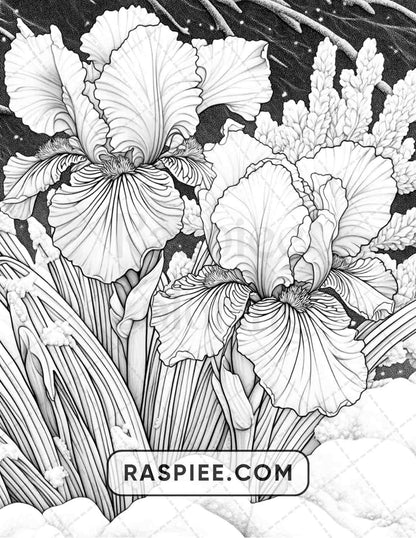 77 Winter Flowers Adult Coloring Pages