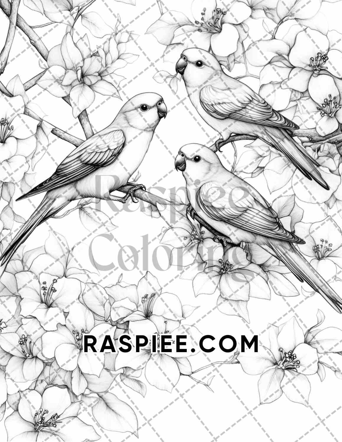 Flowers and Birds Adult Coloring Pages Printable PDF Instant Download - RASPIEE