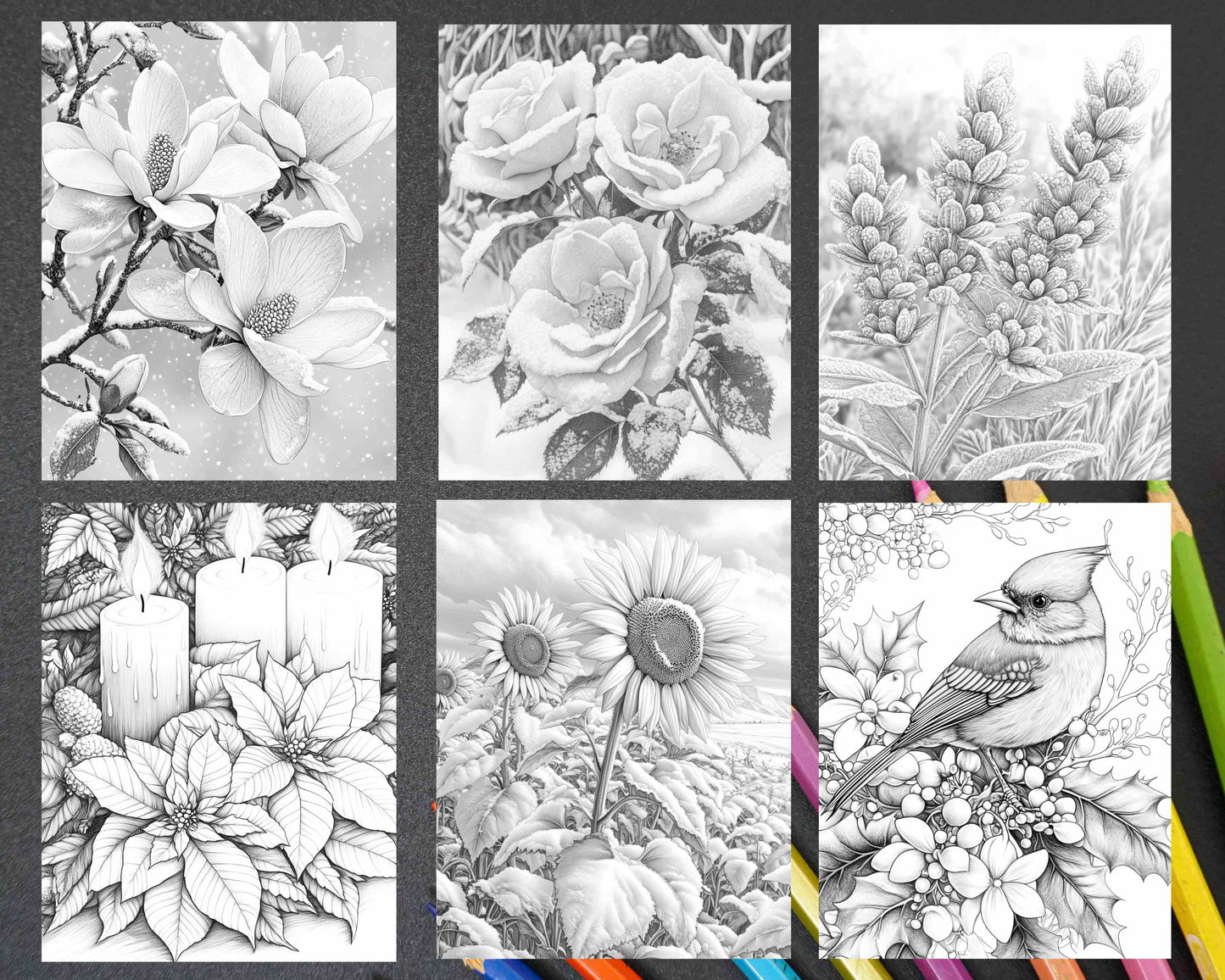 77 Winter Flowers Adult Coloring Pages