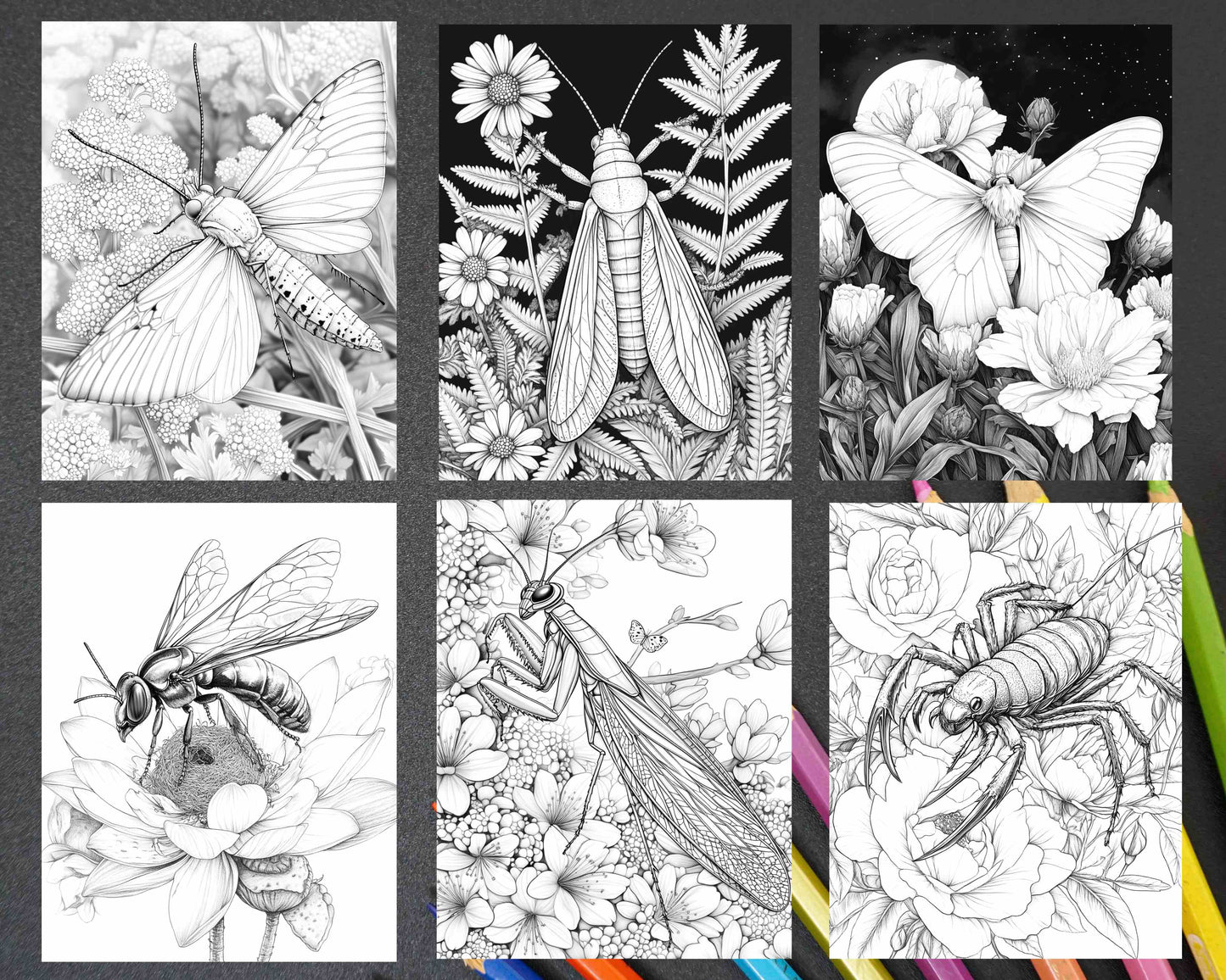 Insects and Flowers Adult Coloring Pages - RASPIEE