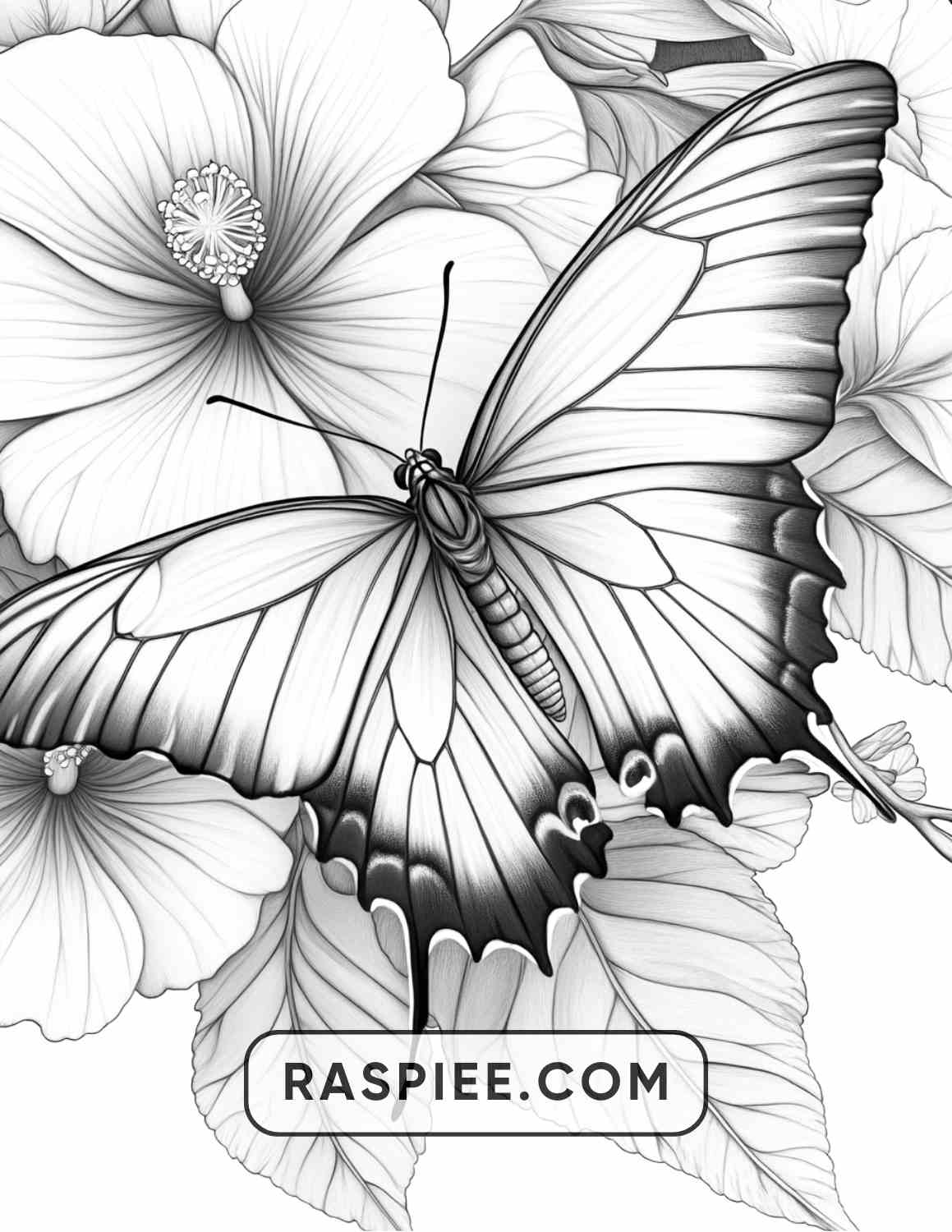 Insects and Flowers Adult Coloring Pages - RASPIEE