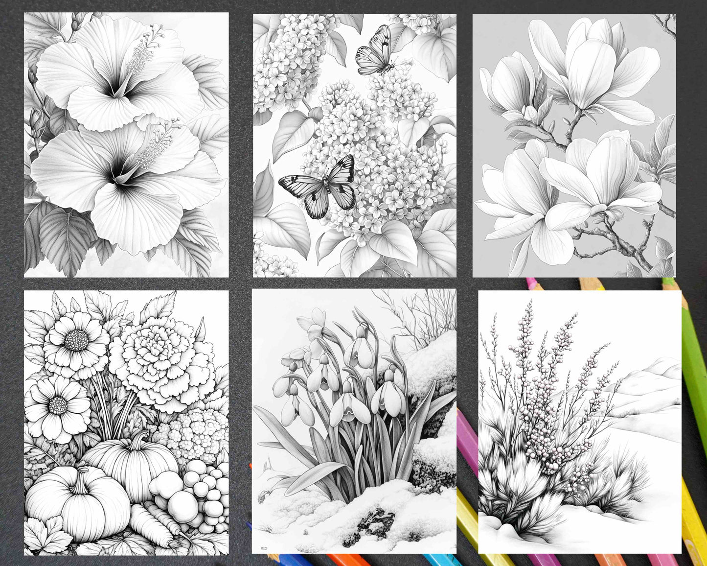 Seasonal Flowers Adult Coloring Pages Printable PDF Instant Download