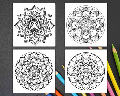 250 Mandala Adult Coloring Pages Vol.2 - RASPIEE