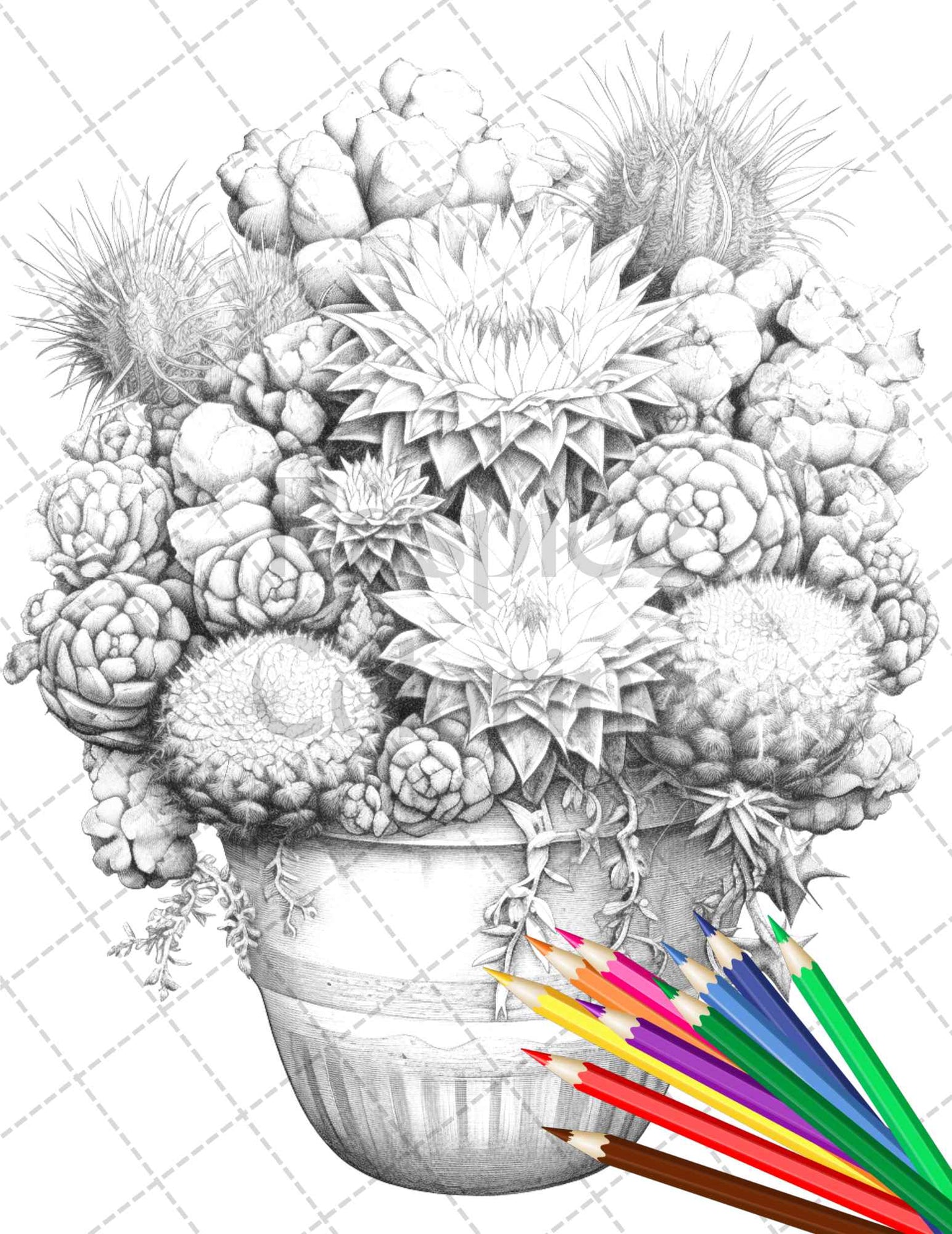 40 Charming Cactus Pots Grayscale Coloring Pages Printable for Adults, PDF File Instant Download - raspiee