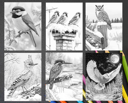 80 Winter Birds Adult Coloring Pages