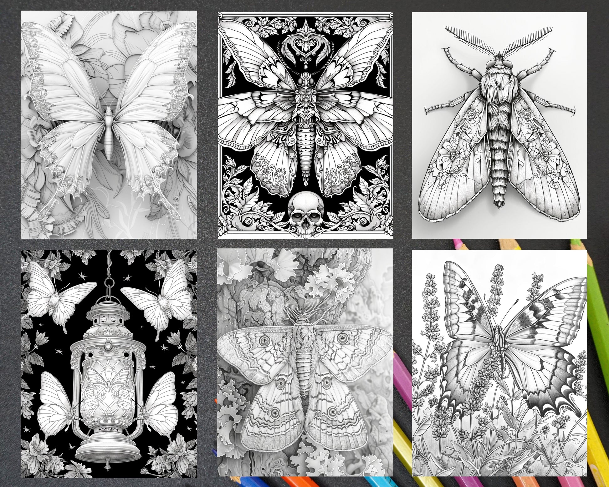 adult coloring pages, adult coloring sheets, adult coloring book pdf, adult coloring book printable, grayscale coloring pages, grayscale coloring books, insect coloring pages for adults, insect coloring book, grayscale illustration, Butterflies and Moths Grayscale Adult Coloring Pages 