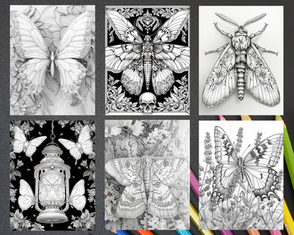 77 Butterflies and Moths Grayscale Adult Coloring Pages, Printable PDF Instant Download - RASPIEE