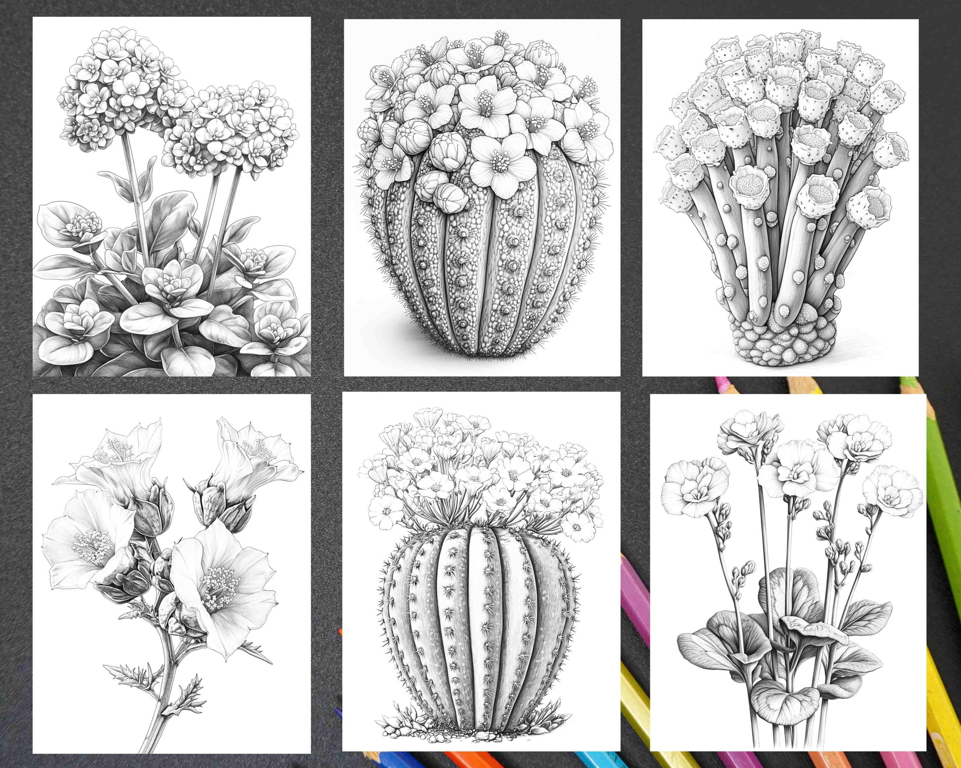 printable succulent art Succulent Blossoms Adult Coloring Pages Printable PDF Instant Download – RASPIEE