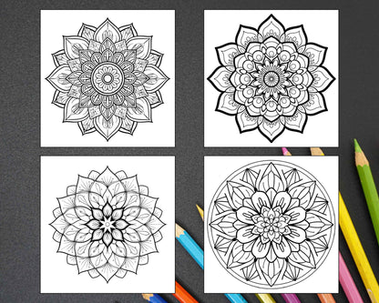 250 Mandala Adult Coloring Pages Vol.1 - RASPIEE