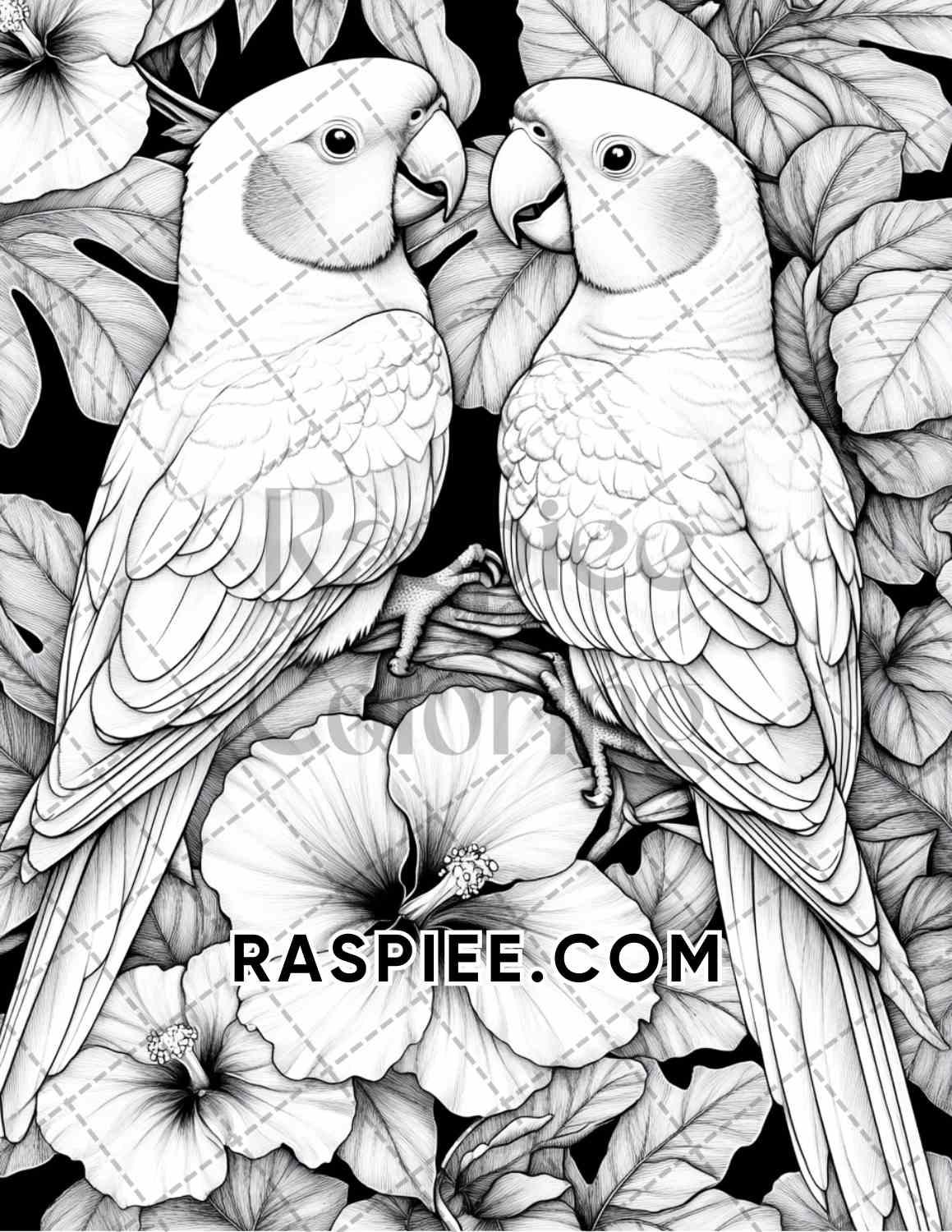 Flowers and Birds Adult Coloring Pages Printable PDF Instant Download - RASPIEE