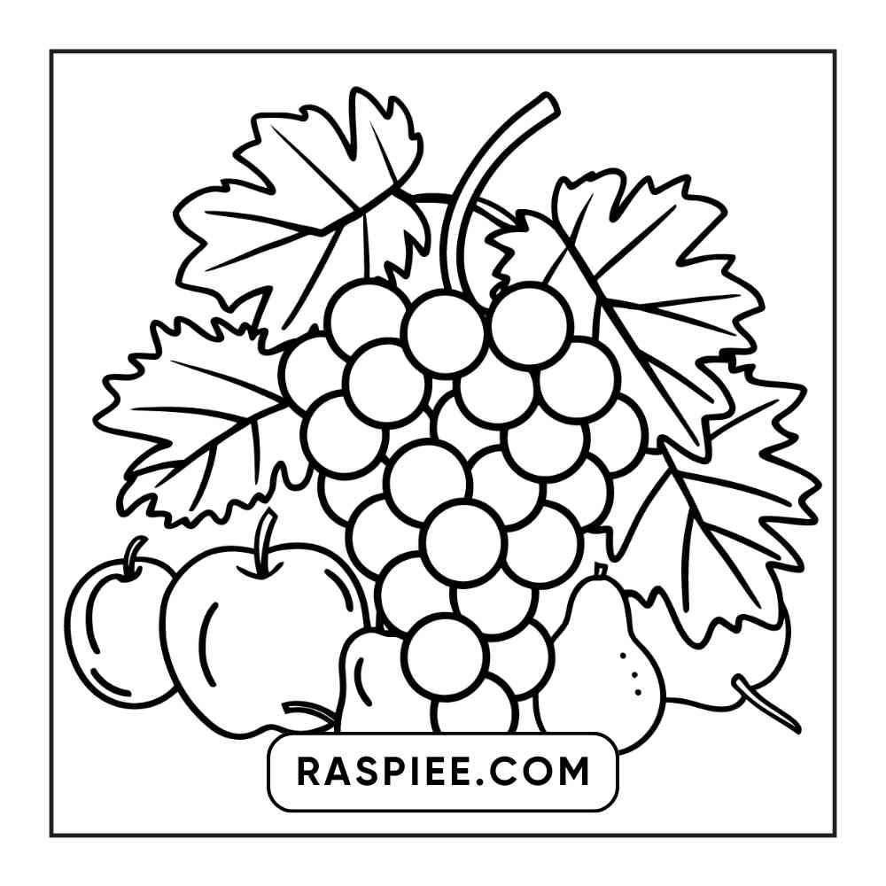 90 Bold and Easy Stress Relief Coloring Pages Printable PDF Instant Download - RASPIEE