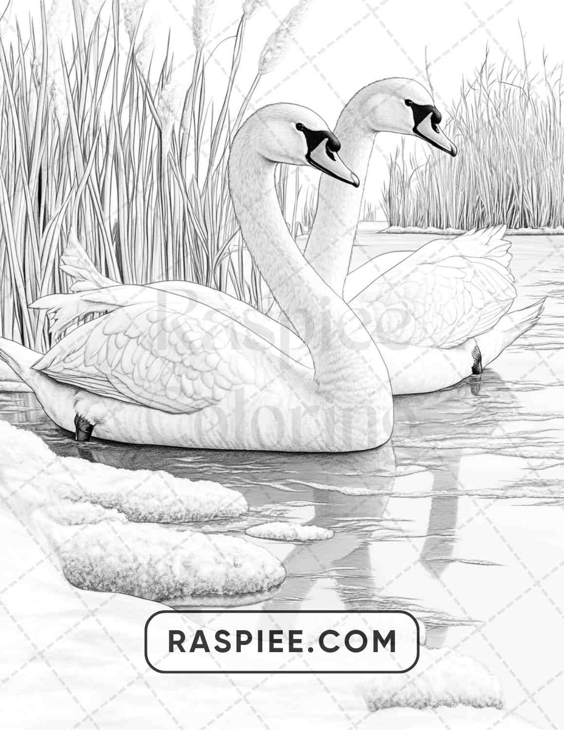 80 Winter Birds Adult Coloring Pages