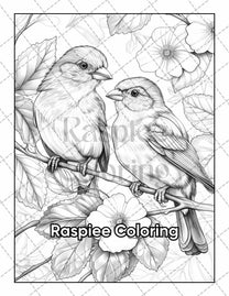 50 Beautiful Birds Adult Coloring Pages Printable PDF Instant Download ...