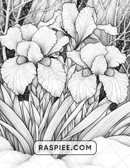 77 Winter Flowers Adult Coloring Pages