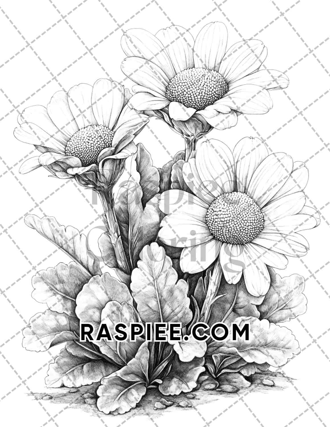 Succulent Blossoms Adult Coloring Pages Printable PDF Instant Download