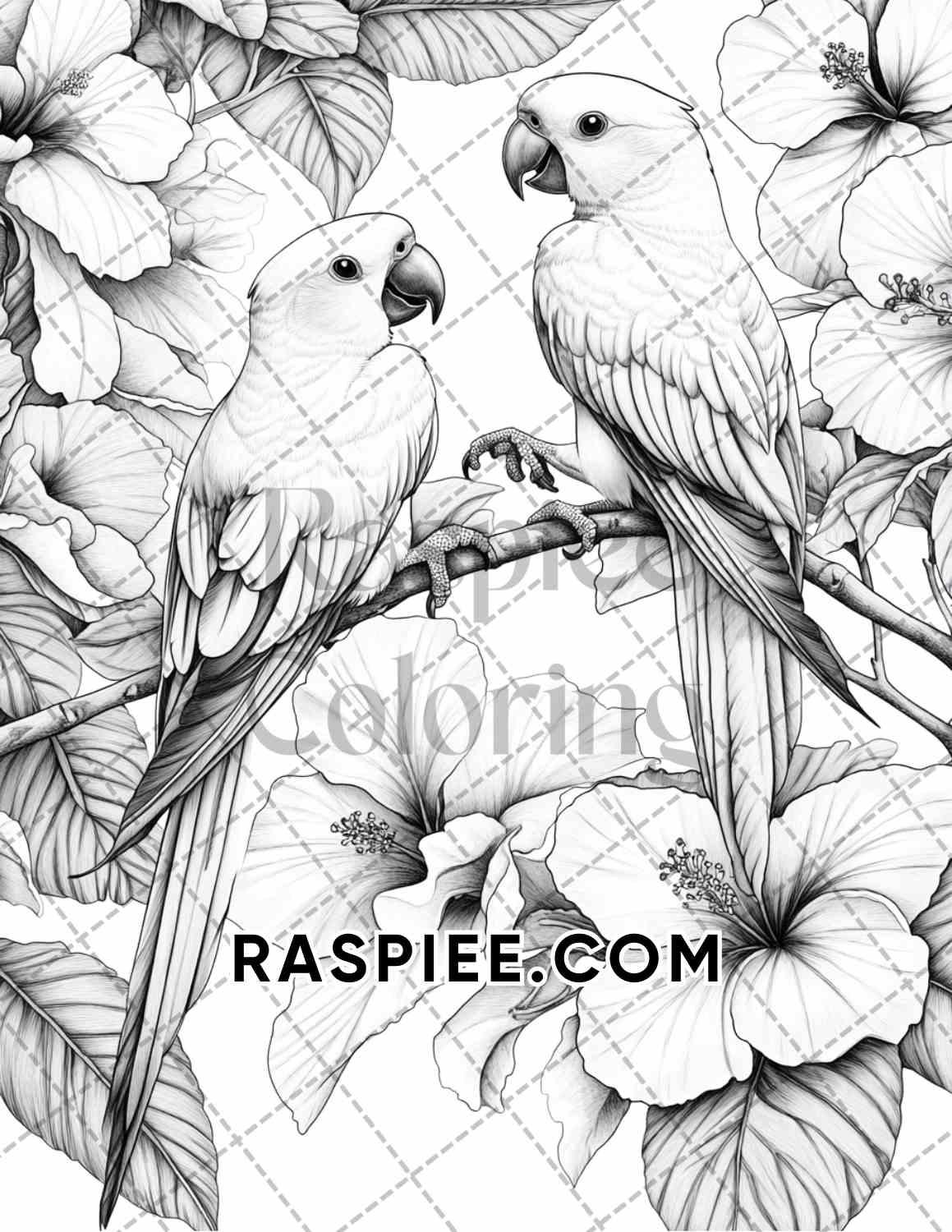 Flowers and Birds Adult Coloring Pages Printable PDF Instant Download - RASPIEE