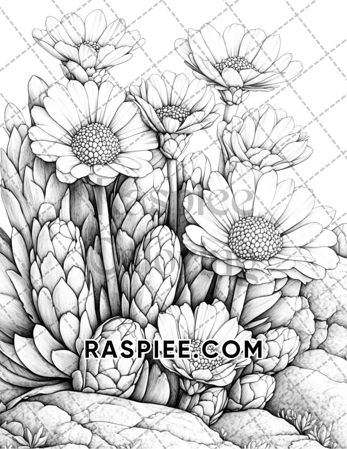 Succulent Blossoms Adult Coloring Pages Printable PDF Instant Download