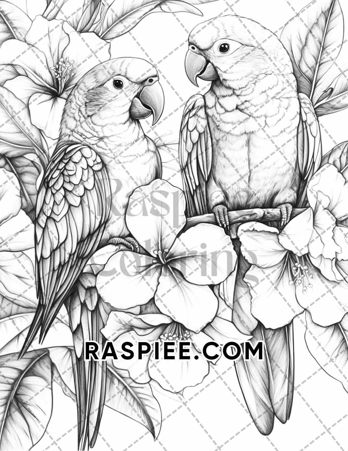 Flowers and Birds Adult Coloring Pages Printable PDF Instant Download - RASPIEE