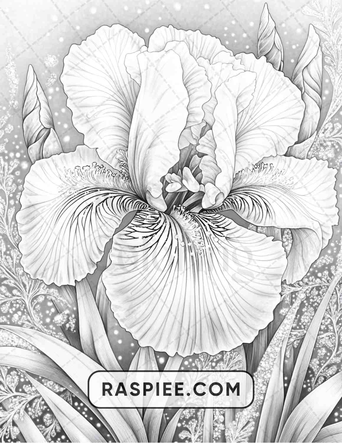 77 Winter Flowers Adult Coloring Pages