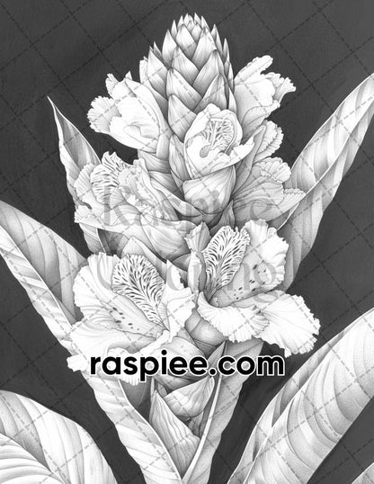 adult coloring pages, adult coloring sheets, adult coloring book pdf, adult coloring book printable, grayscale coloring pages, grayscale coloring books, grayscale illustration, tropical flowers adult coloring pages, tropical flowers adult coloring book