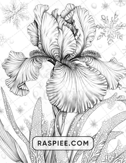 77 Winter Flowers Adult Coloring Pages