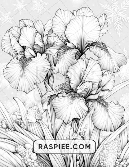 77 Winter Flowers Adult Coloring Pages