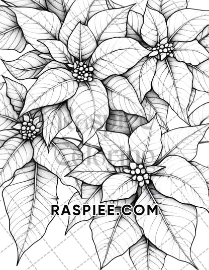 Seasonal Flowers Adult Coloring Pages Printable PDF Instant Download