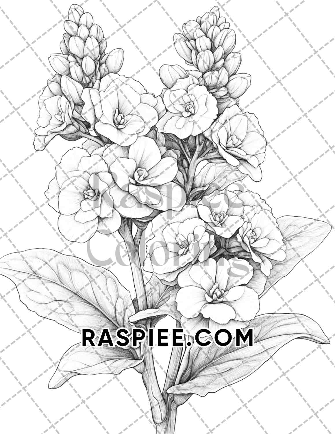 Succulent Blossoms Adult Coloring Pages Printable PDF Instant Download