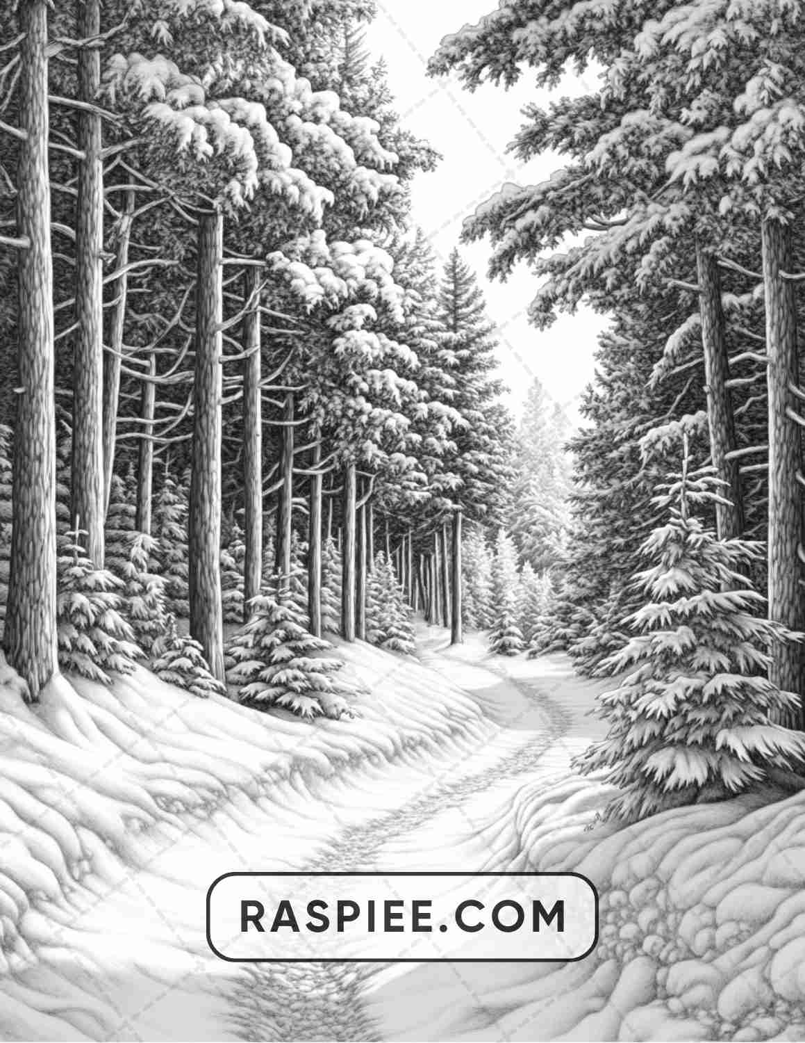 82 Winter Landscapes Adult Coloring Pages - RASPIEE