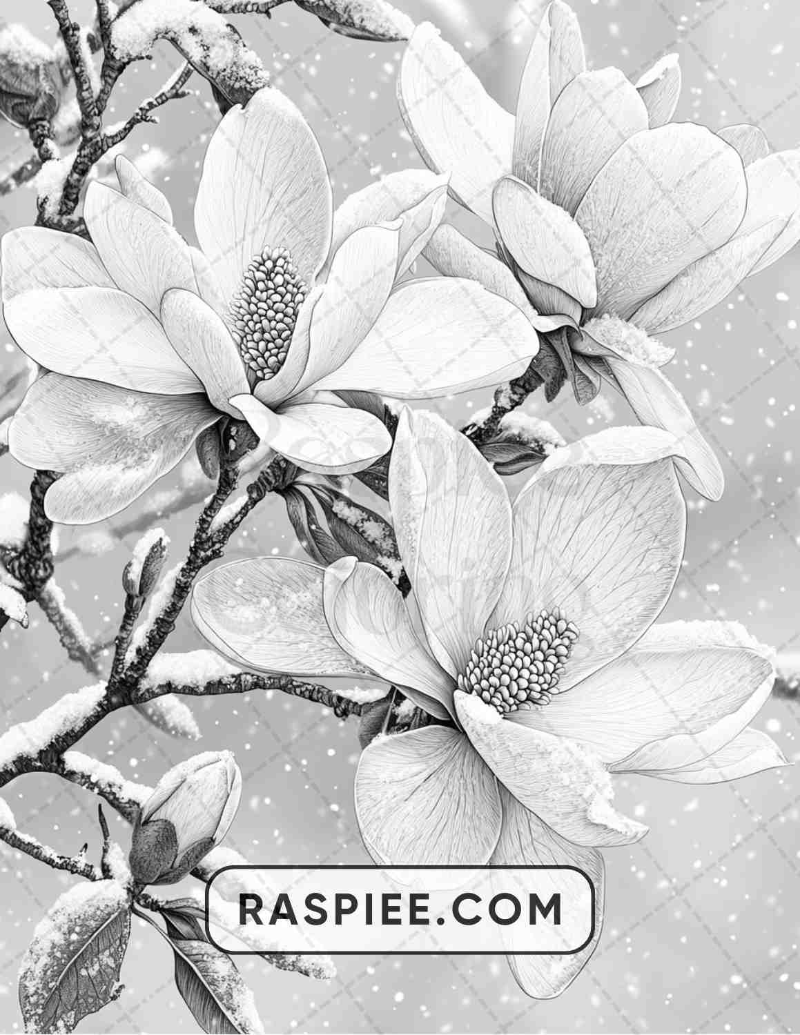 77 Winter Flowers Adult Coloring Pages