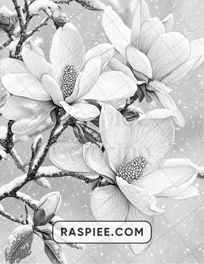 77 Winter Flowers Adult Coloring Pages