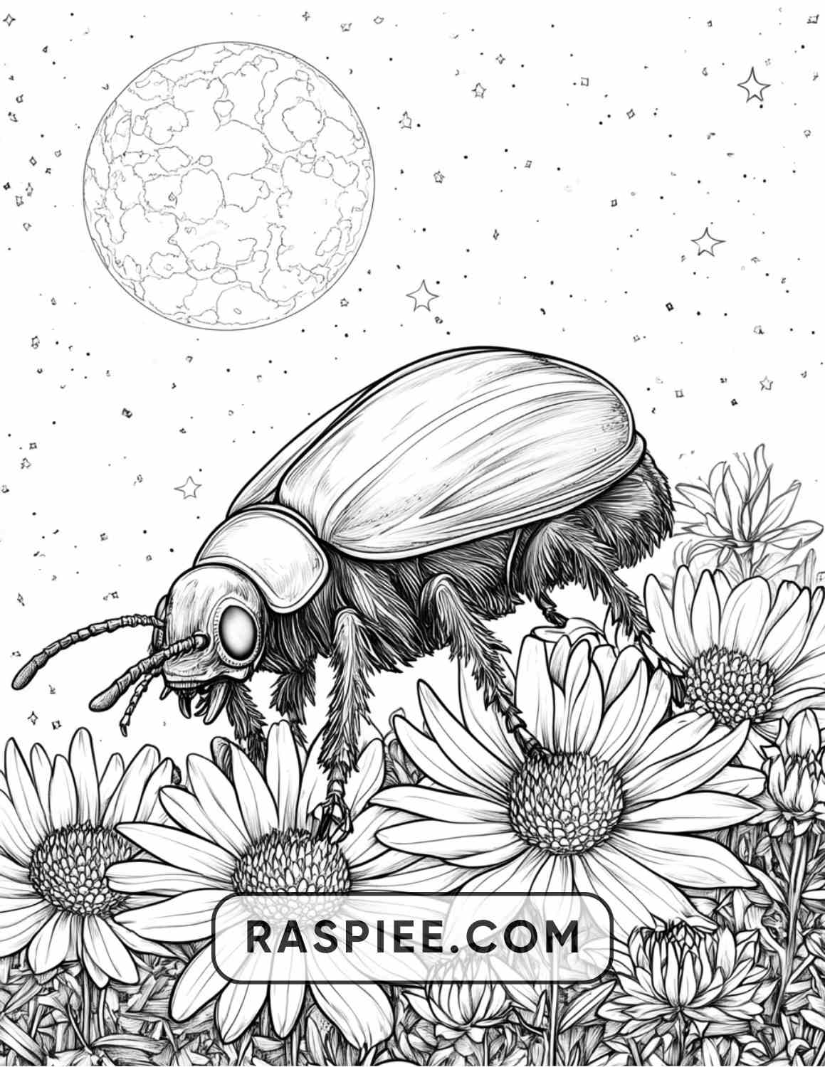 Insects and Flowers Adult Coloring Pages - RASPIEE