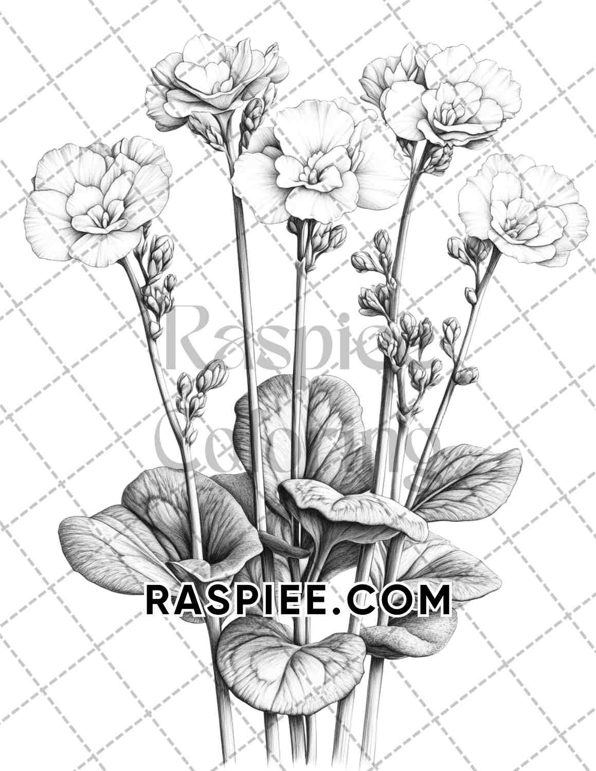 Succulent Blossoms Adult Coloring Pages Printable PDF Instant Download