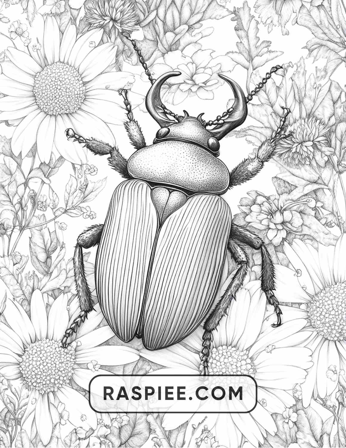 Insects and Flowers Adult Coloring Pages - RASPIEE