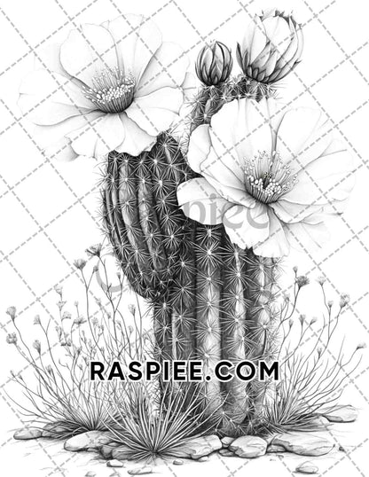 Succulent Blossoms Adult Coloring Pages Printable PDF Instant Download