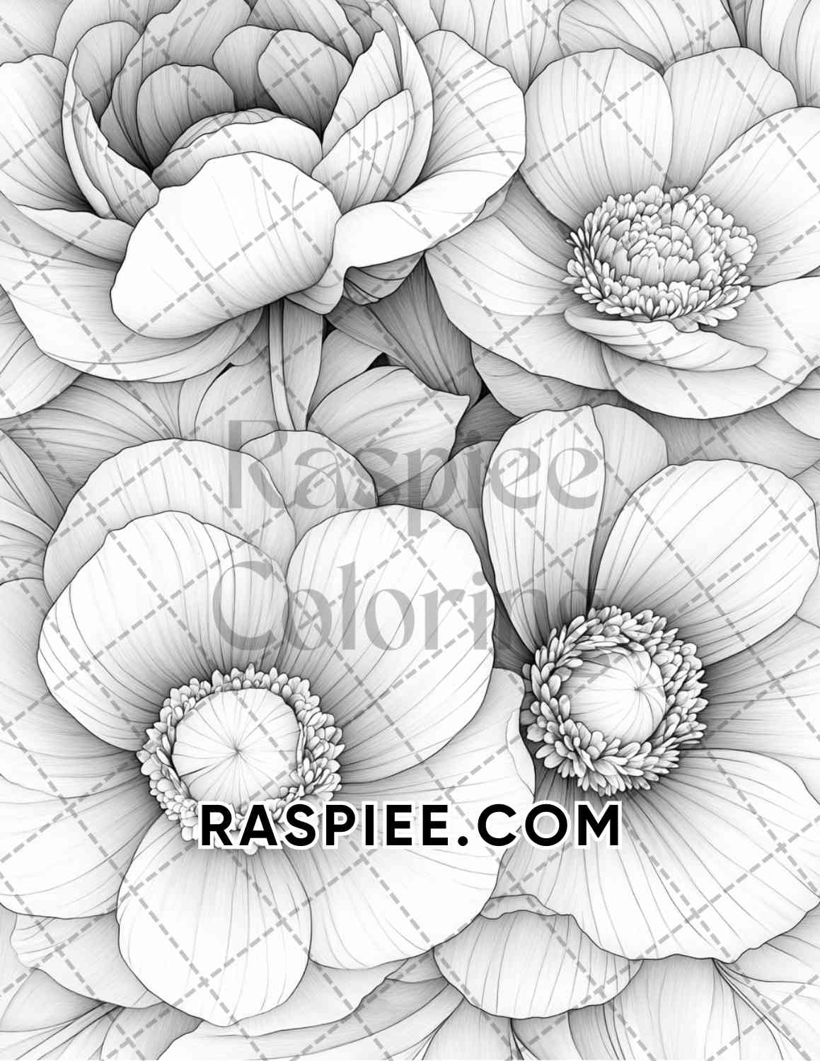 Seasonal Flowers Adult Coloring Pages Printable PDF Instant Download