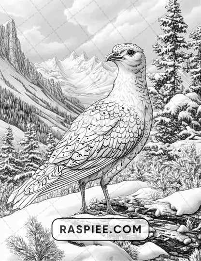 80 Winter Birds Adult Coloring Pages