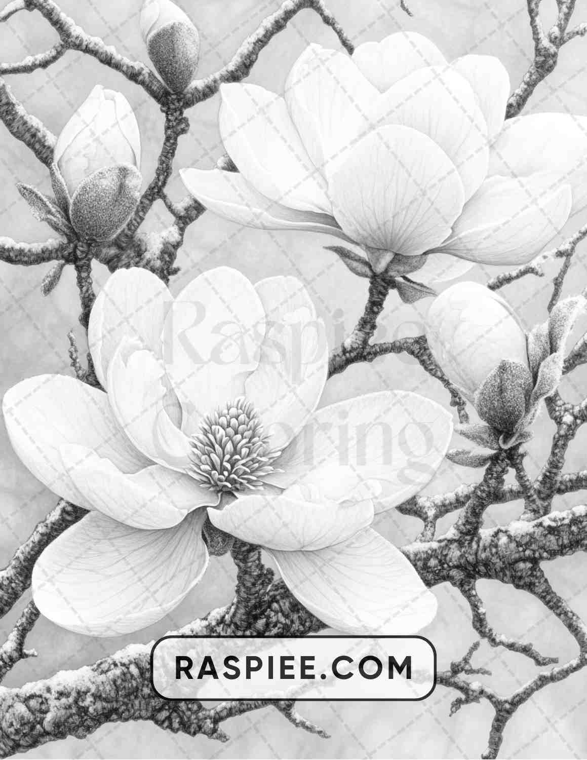 77 Winter Flowers Adult Coloring Pages