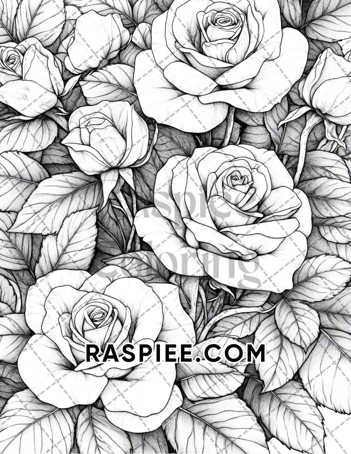 Seasonal Flowers Adult Coloring Pages Printable PDF Instant Download