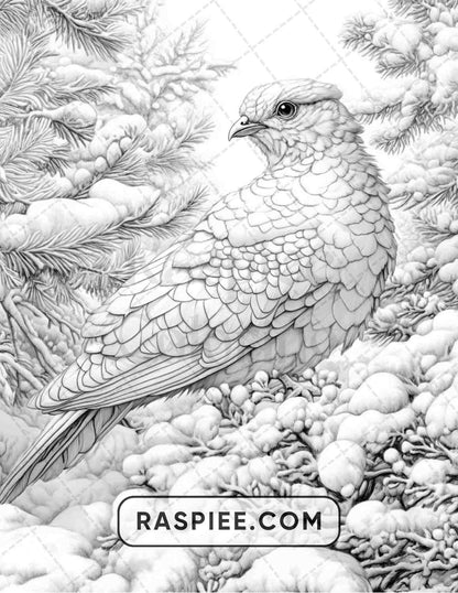 80 Winter Birds Adult Coloring Pages