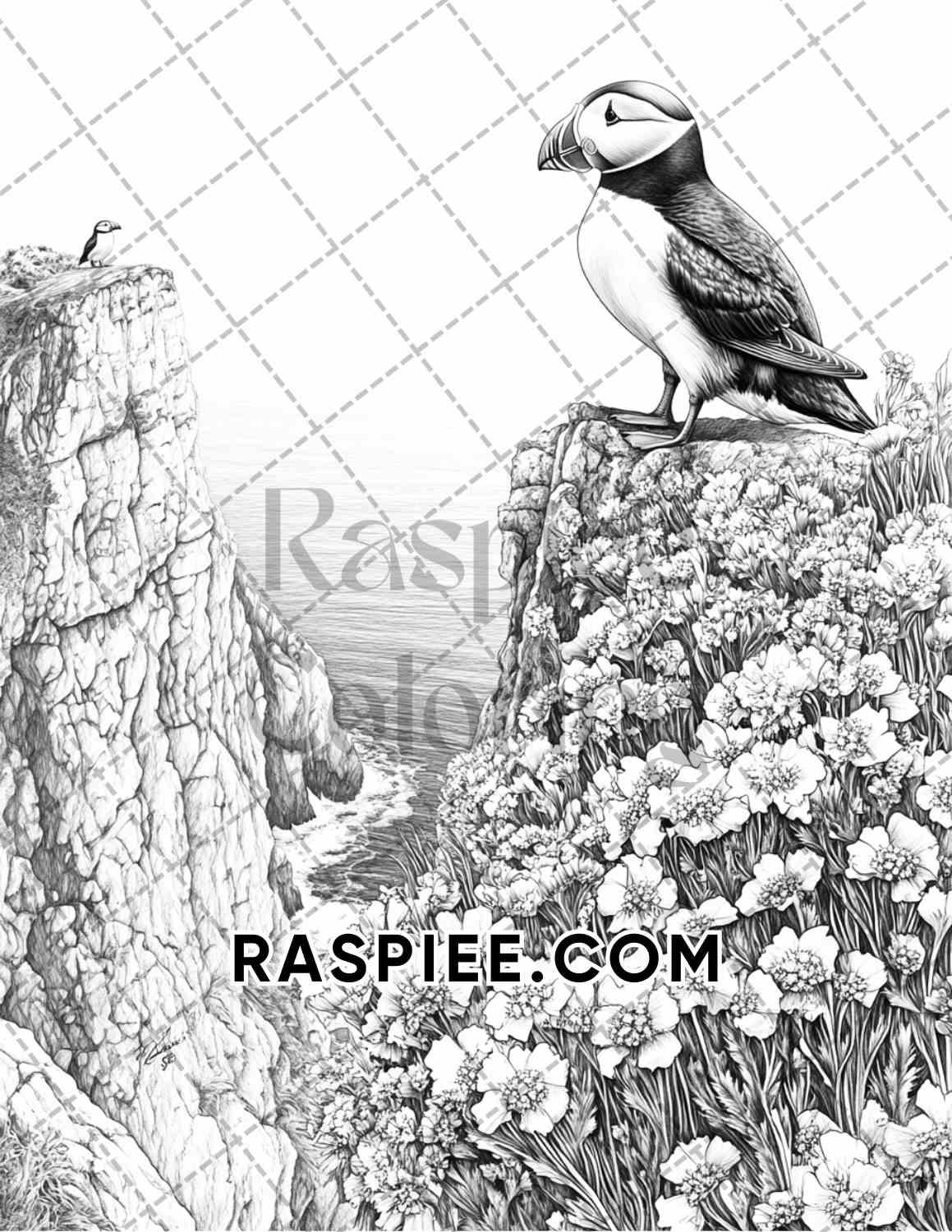 Flowers and Birds Adult Coloring Pages Printable PDF Instant Download - RASPIEE