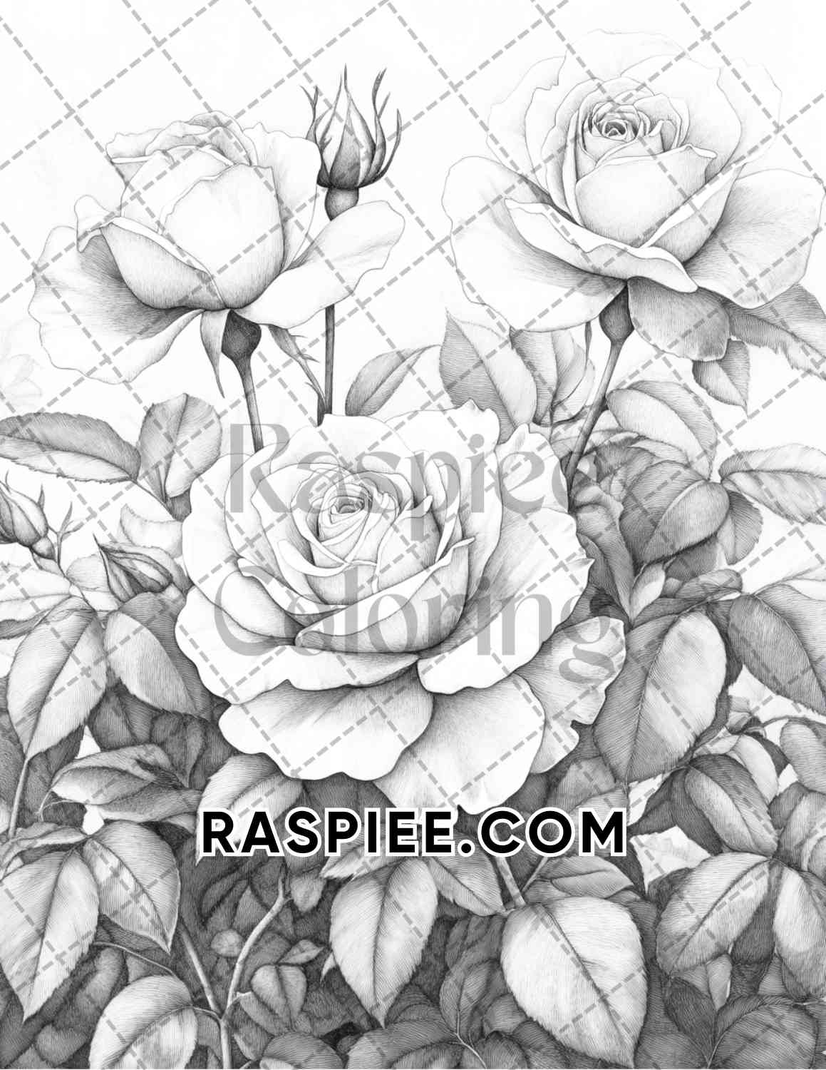 Seasonal Flowers Adult Coloring Pages Printable PDF Instant Download