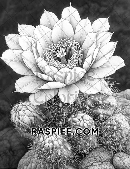 Succulent Blossoms Adult Coloring Pages Printable PDF Instant Download